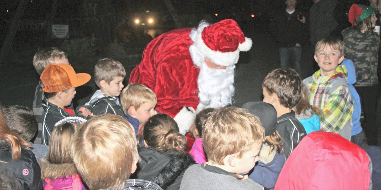 Popular Festival of Trees returns over holiday season at Spirit Ridge resort