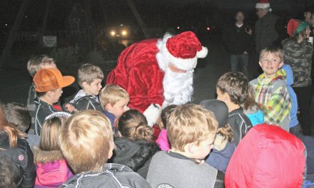 Popular Festival of Trees returns over holiday season at Spirit Ridge resort