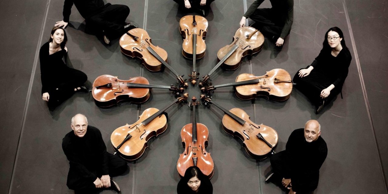 Ô-Celli an octuple dose of strings