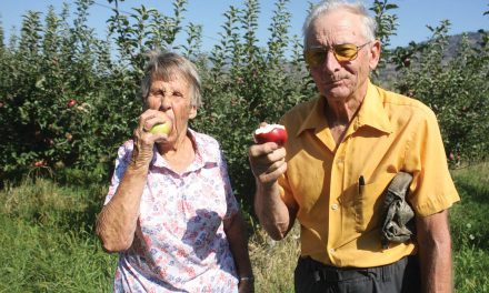 Local apple growers’ Okana breed remains very popular one year after hitting market