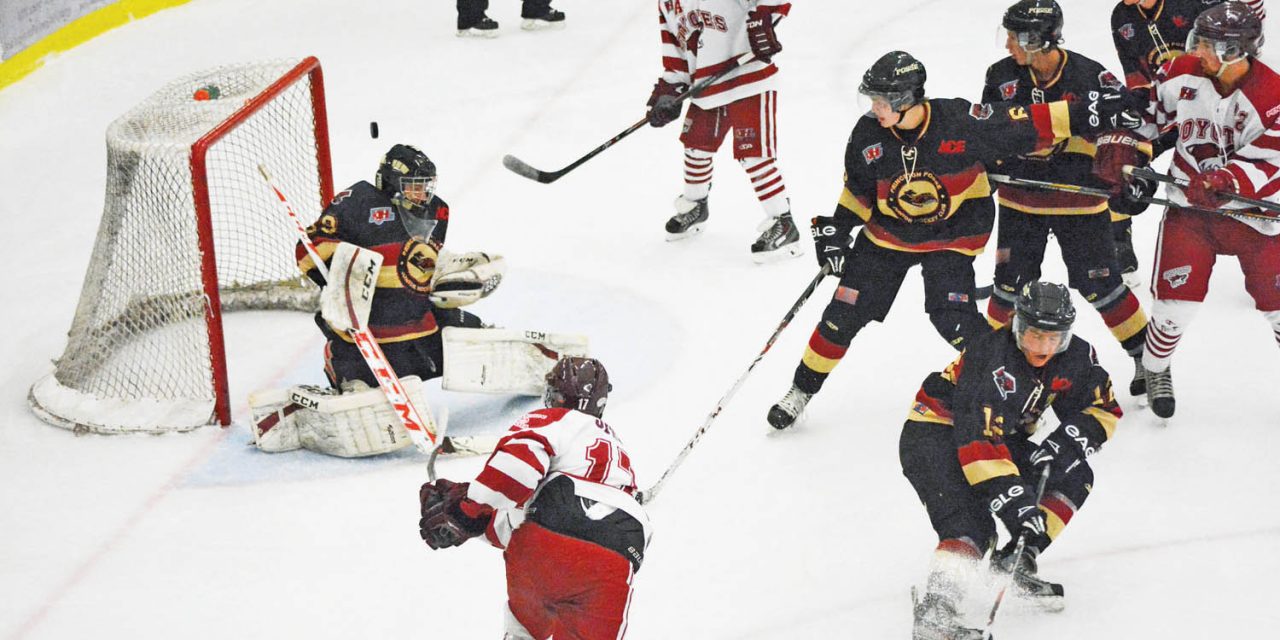 Coyotes defeat Princeton 6-2