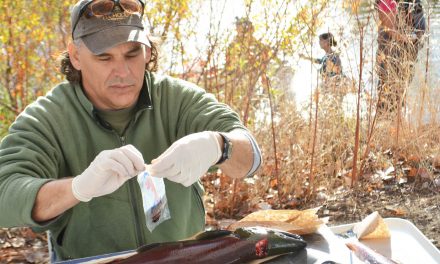 Fishery technicians, biologists work diligently to enhance salmon stocks