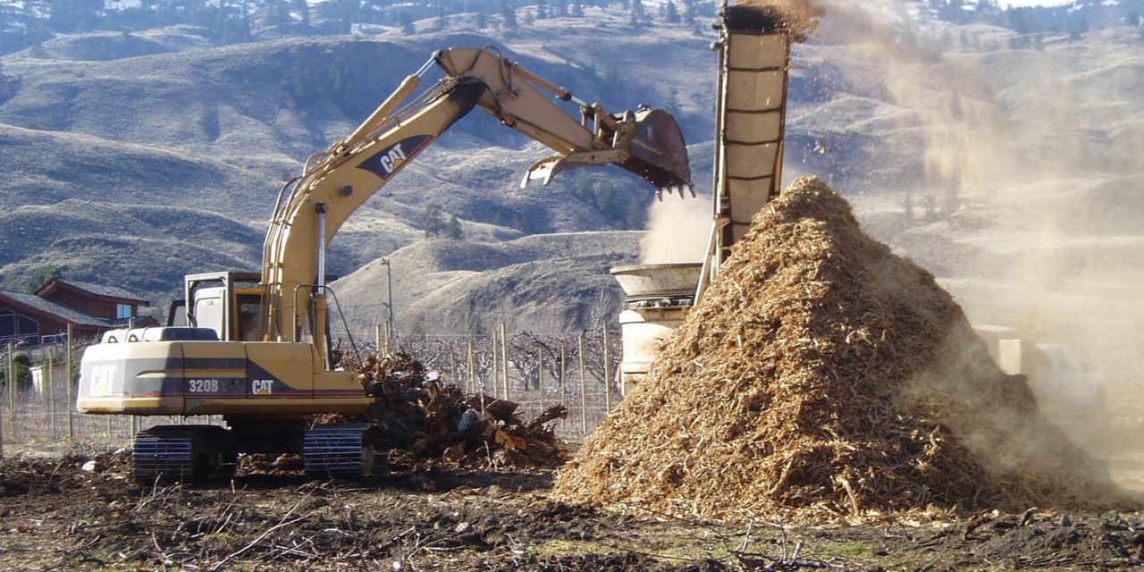 Regional district helps agriculturists with program that helps chip trees