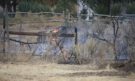 Osoyoos firefighters chip in to battle brush fire caused after vehicle catches fire