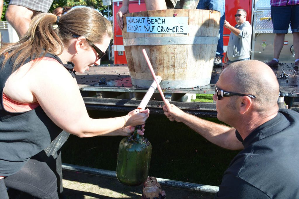 Shauna Brown and Don Brogan from the Walnut Beach Resort Nut Crushers had a messy job, but they won the Grape Stomp Competition. Their team won the competition by filling their bucket with 30 pounds of grape juice. (Lyonel Doherty photo)