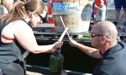 Record numbers flock to Festival of the Grape