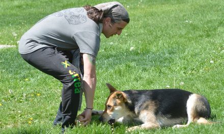 Compliance is icing on cake for Park Ambassadors