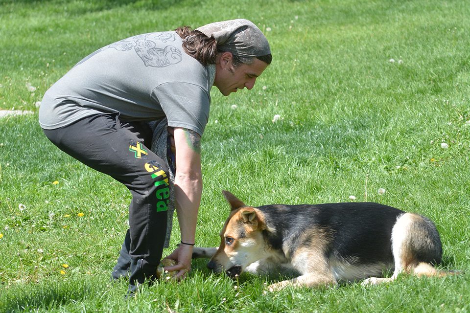 Compliance is icing on cake for Park Ambassadors