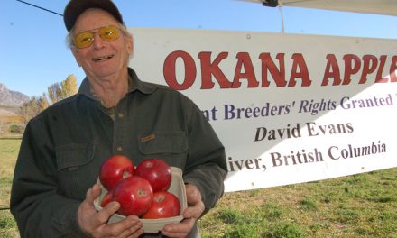 Grower’s new apple gets serious shelf time