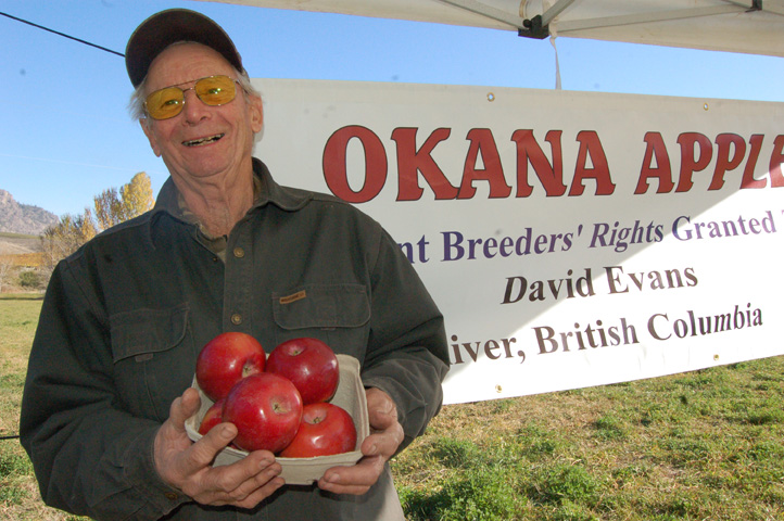 Grower’s new apple gets serious shelf time