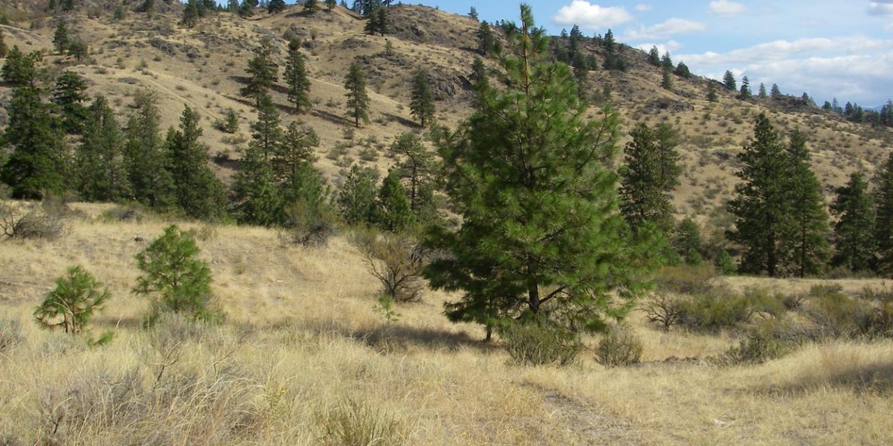 Naturalist club can live with dirt bike proposal