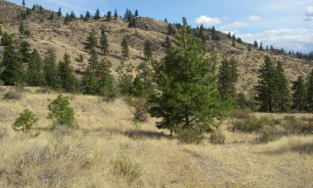 Ministry tries to appease Oliver Mountain users