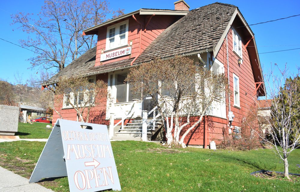 Museum works on new garden, ‘Deep Roots’ project