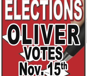 School trustee candidates set