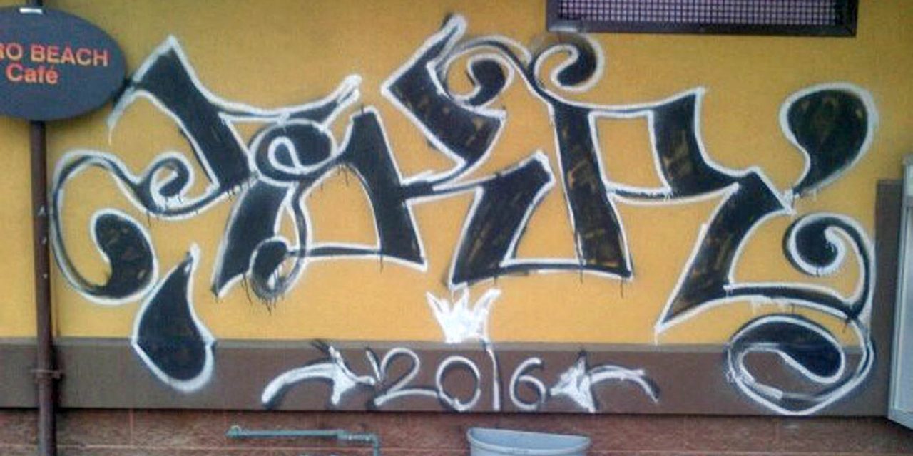 Despite recent vandalism, council not willing to shut down Gyro Park washrooms this winter