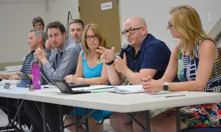Council paves way for new hotel plan