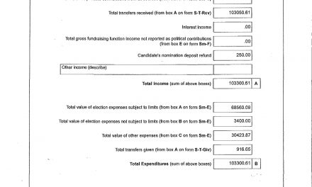 Public kept in dark on local political donors