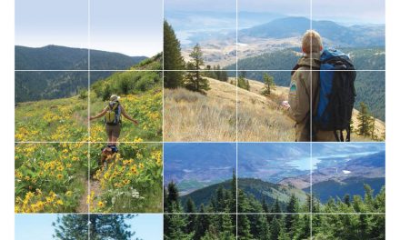 Province response expected soon on national park, but including Mt. Kobau in park definitely ruled out