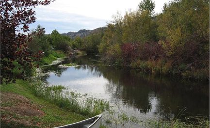 Stewardship Spotlight on Park Rill