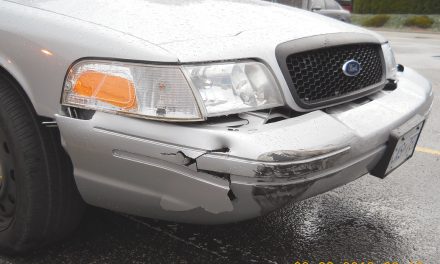 Reckless driver smashes into cop during police dragnet in Oliver