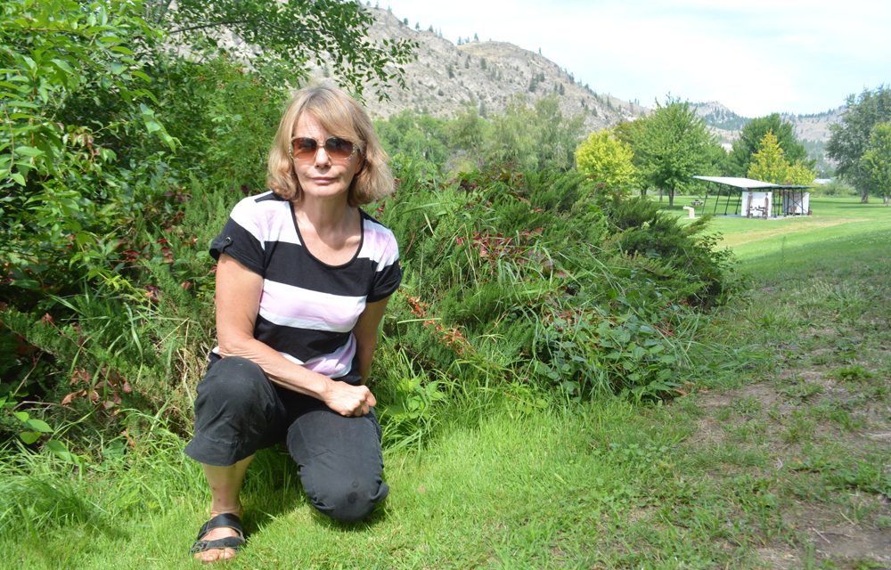 Woman shaken after dog attack in park