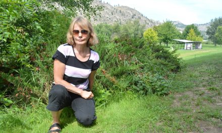 Woman shaken after dog attack in park