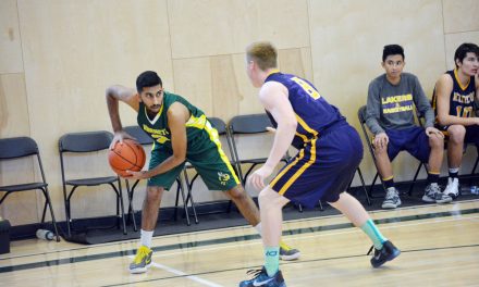 Lakers take sting out of Hornets