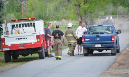 Firefighters respond to power line down