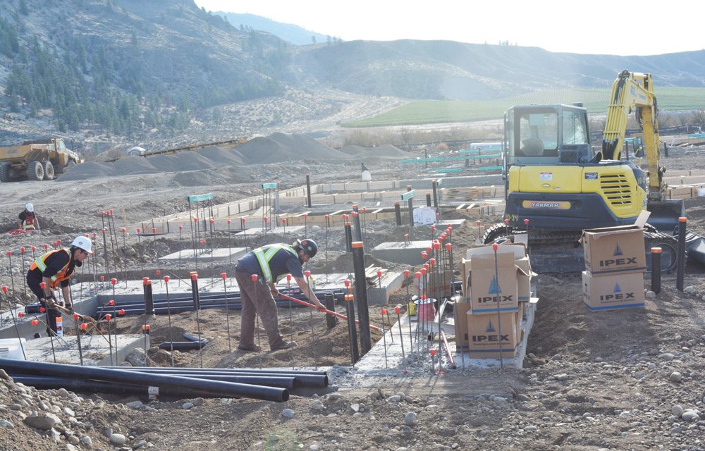 Businessman questions tendering process