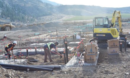 Businessman questions tendering process