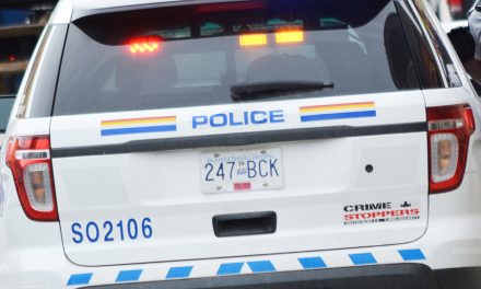 Man pushed out of truck that police tried to stop