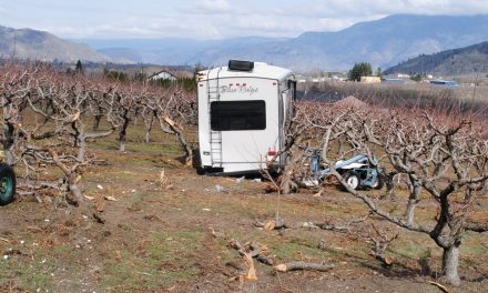 Fifth wheel crashes through orchard