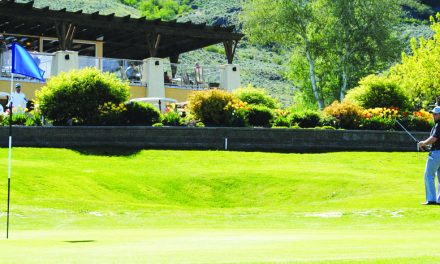 Oliver’s Martine magnificent in Rattlesnake Open