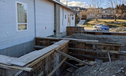 Town to impose remedial action on ‘hazardous’ home