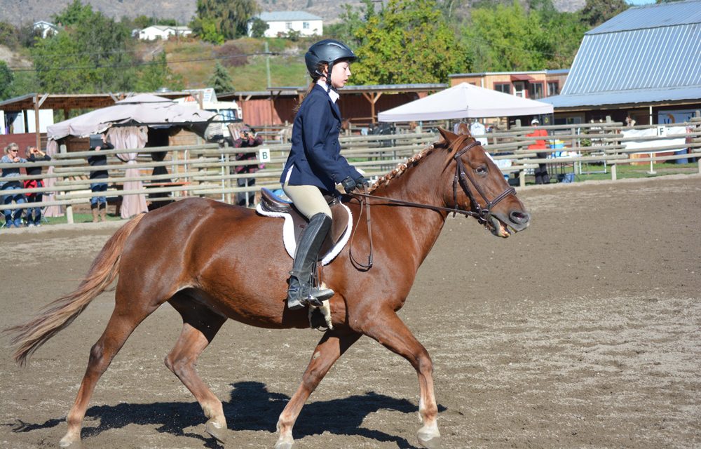 Riders ‘Buckle’ down at English and Western Horse show series finale