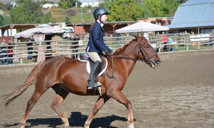 Riders ‘Buckle’ down at English and Western Horse show series finale