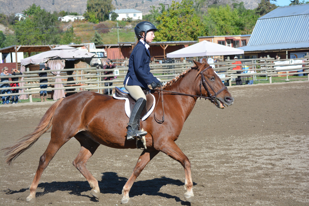 Riders ‘Buckle’ down at English and Western Horse show series finale