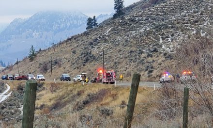 Single-vehicle rollover on Hwy 3 sends one woman to hospital