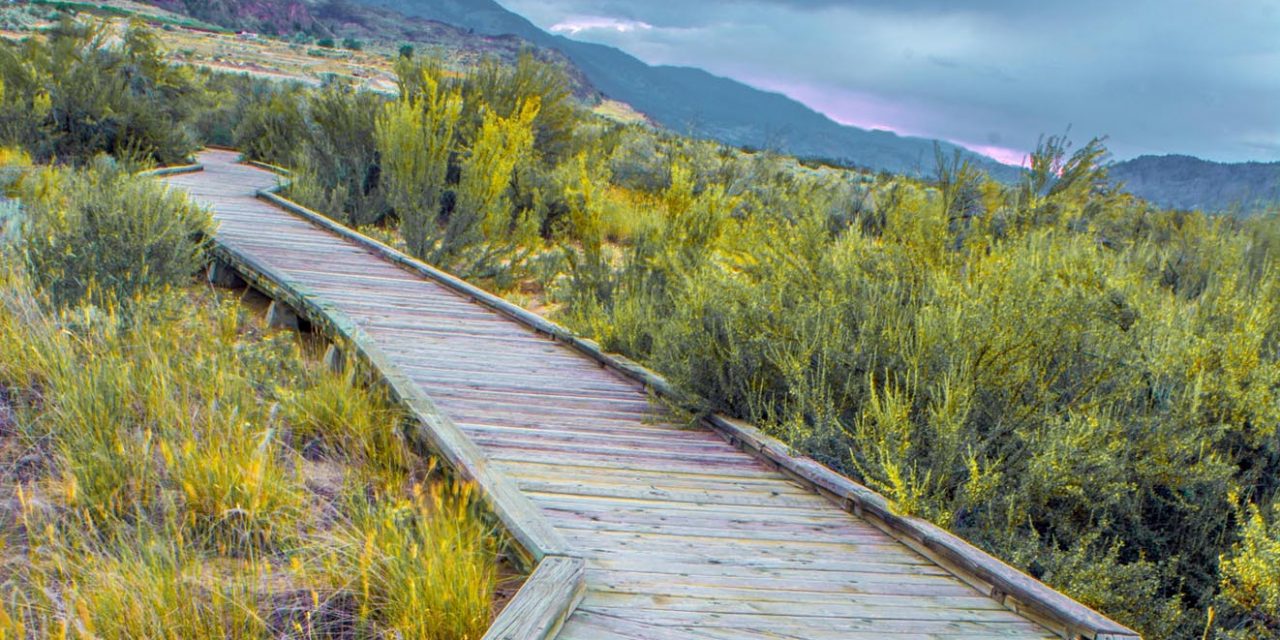 Romance The Desert At The Osoyoos Desert Centre Timeschronicle Ca