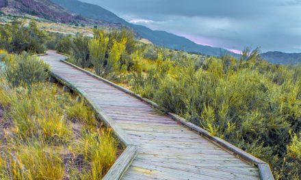 Romance the desert at the Osoyoos Desert Centre