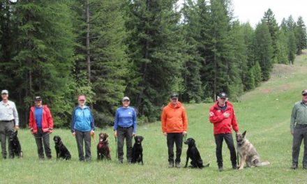 Search and rescue dogs unite on Anarchist Mountain