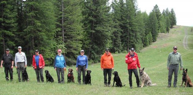Search and rescue dogs unite on Anarchist Mountain