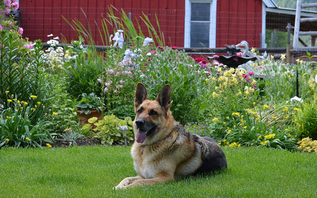 Creating an outdoor sanctuary