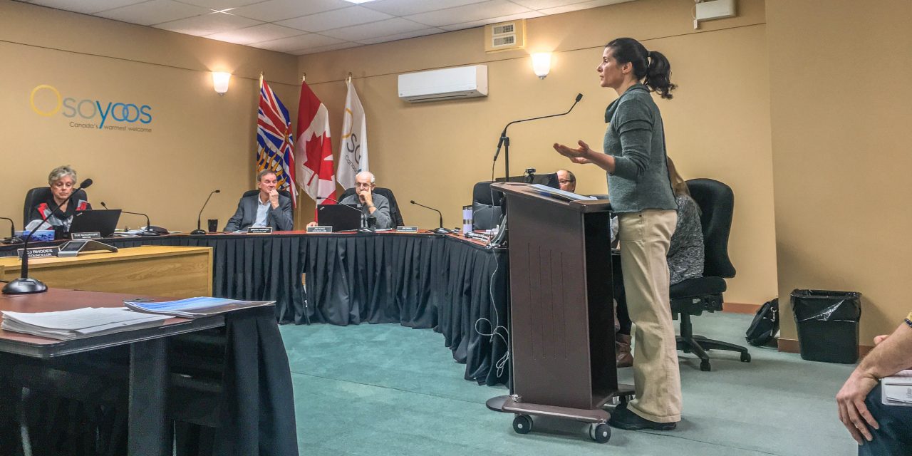 Parks Canada project manager gives update to council