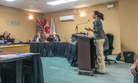 Parks Canada project manager gives update to council