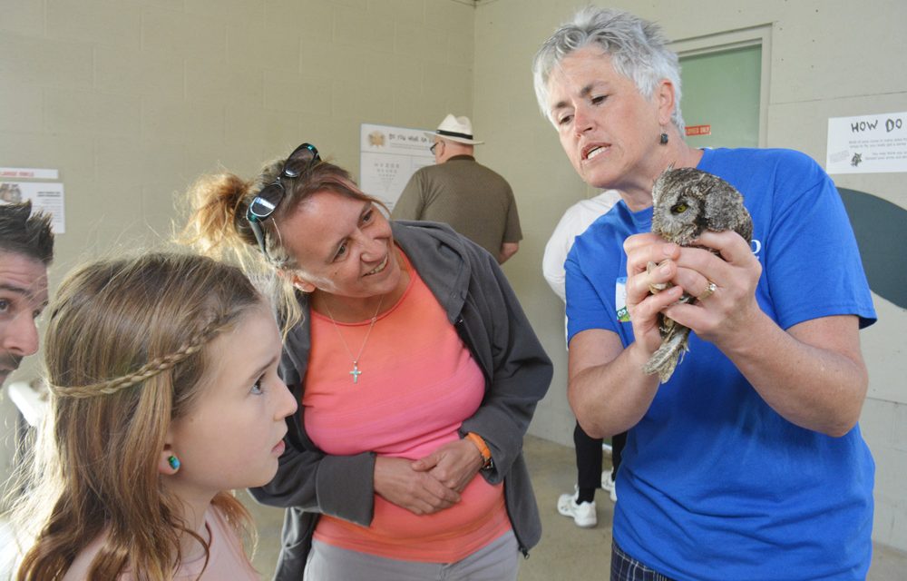 Tabitha turns heads at SORCO open house