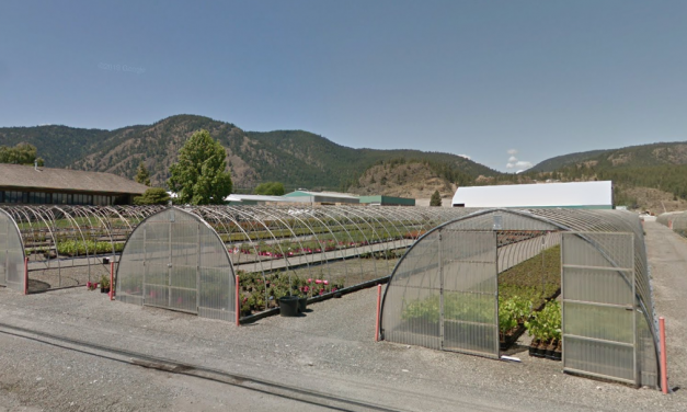 Outbreak declared over at West Kelowna nursery