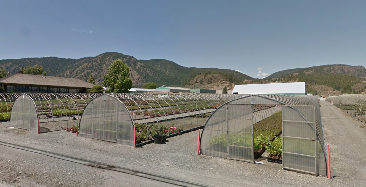 Outbreak declared over at West Kelowna nursery TimesChronicle.ca
