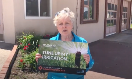 Mayor McKortoff lends support to virtual water conservation challenge