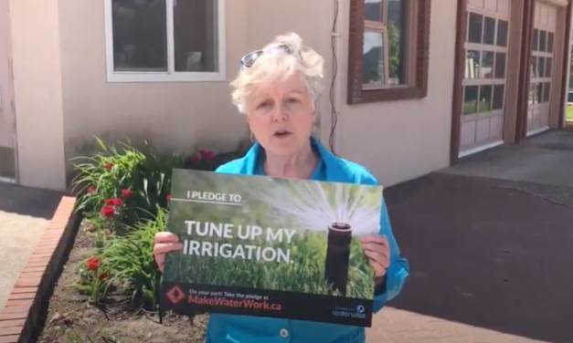 ‘Make Water Work’ winner announced as Peachland